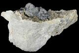 Sphalerite, Marcasite & Dolomite Association - Missouri #96388-2
